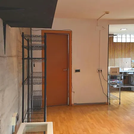 Lejlighed Loft Con Jardin