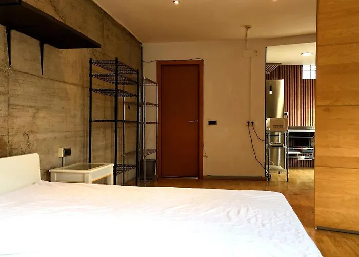 Lejlighed Loft Con Jardin